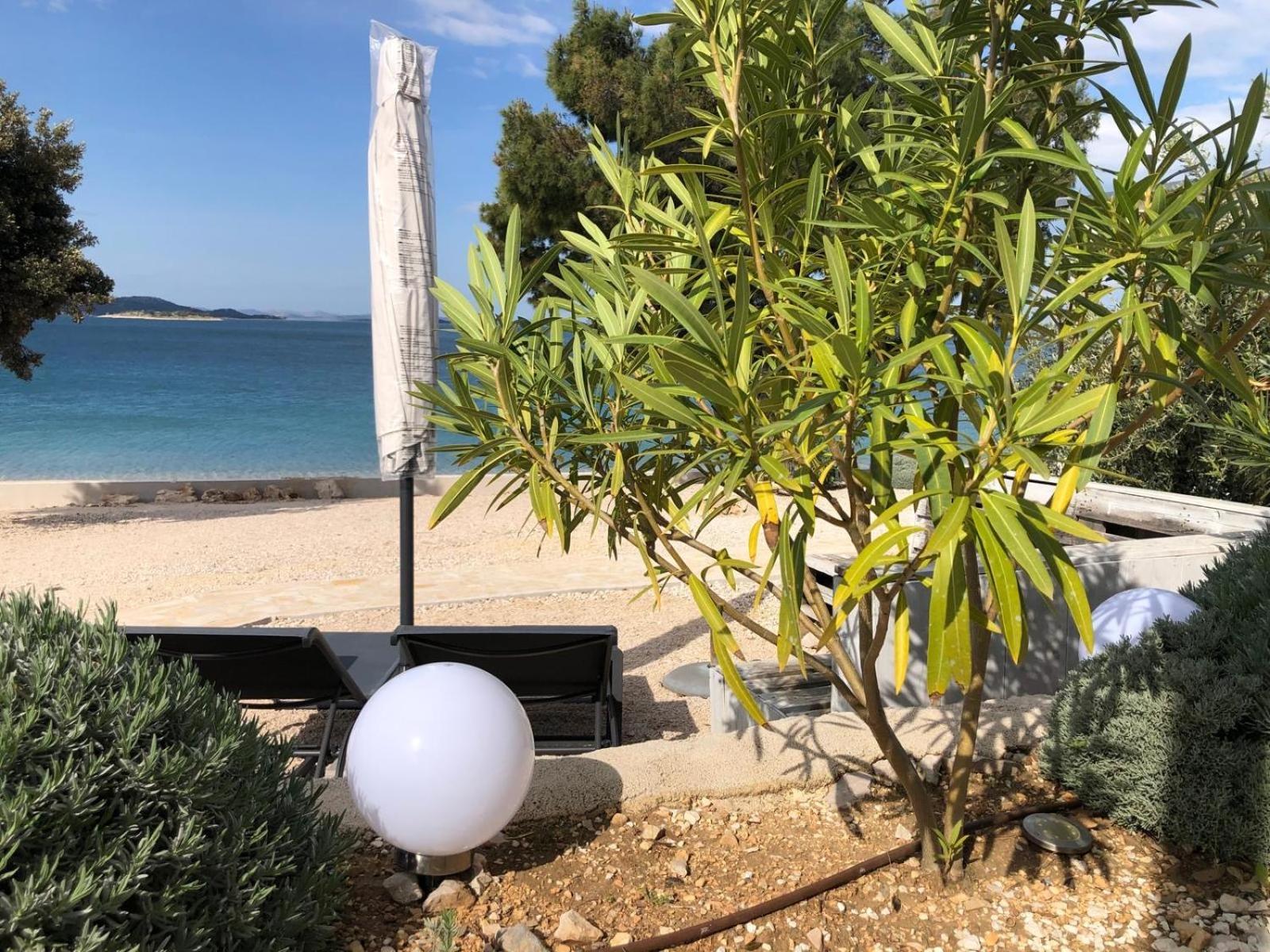 Buqez Eco Resort - Beachfront 20 & House 42 ドラゲ エクステリア 写真